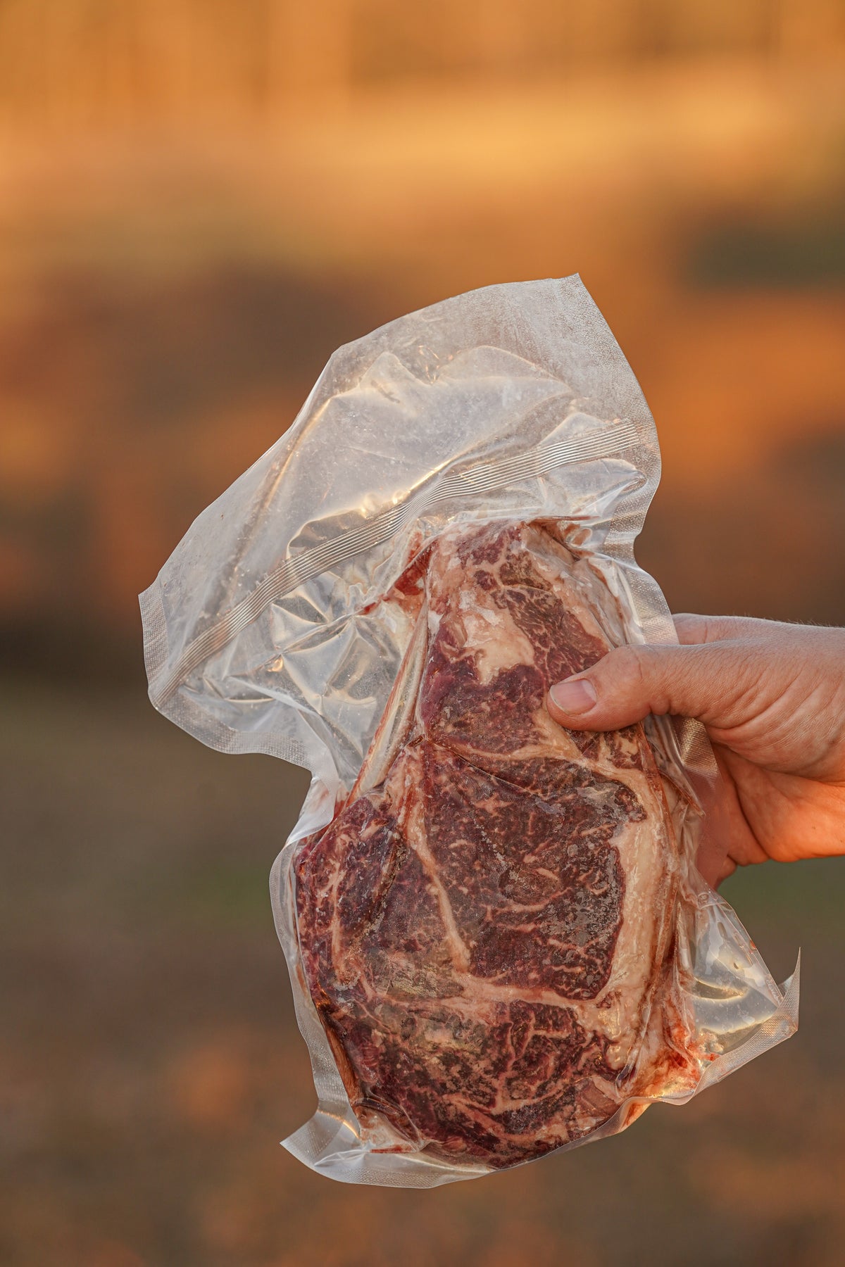 USDA PRIME Boneless Ribeye (Wagyu × Angus)