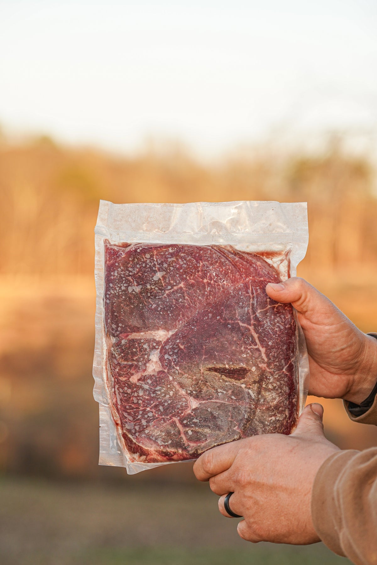 Sirloin Tip Steak (Wagyu × Angus)