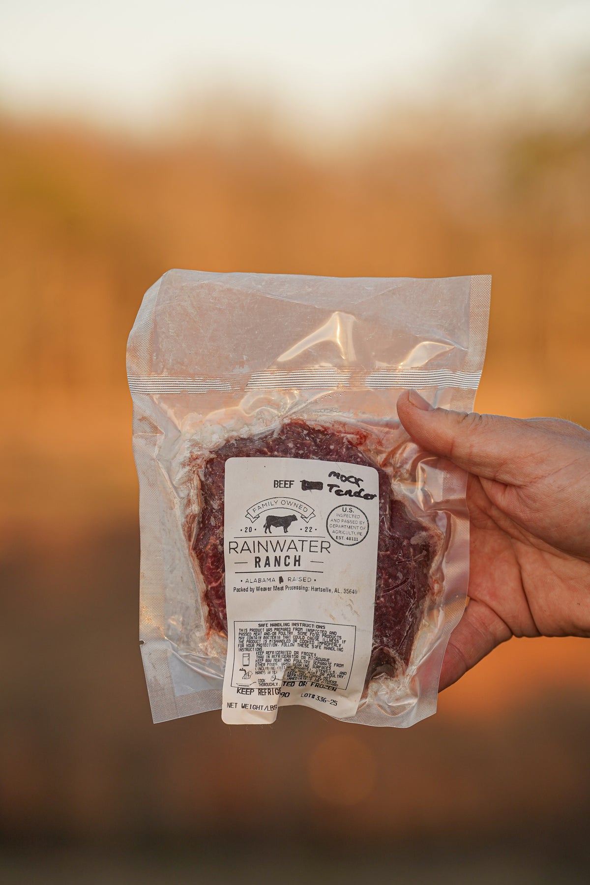 Mock Tender (Wagyu × Angus)