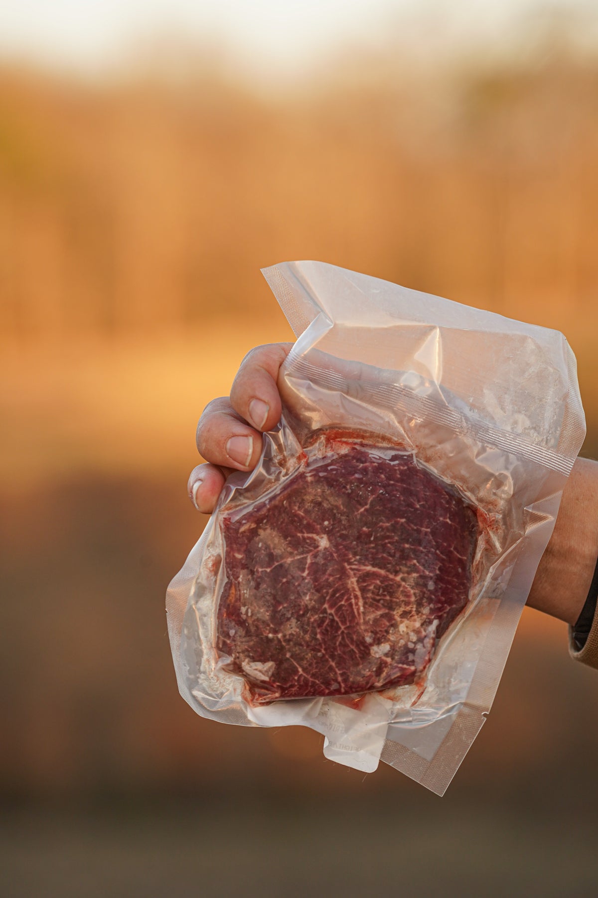 Mock Tender (Wagyu × Angus)
