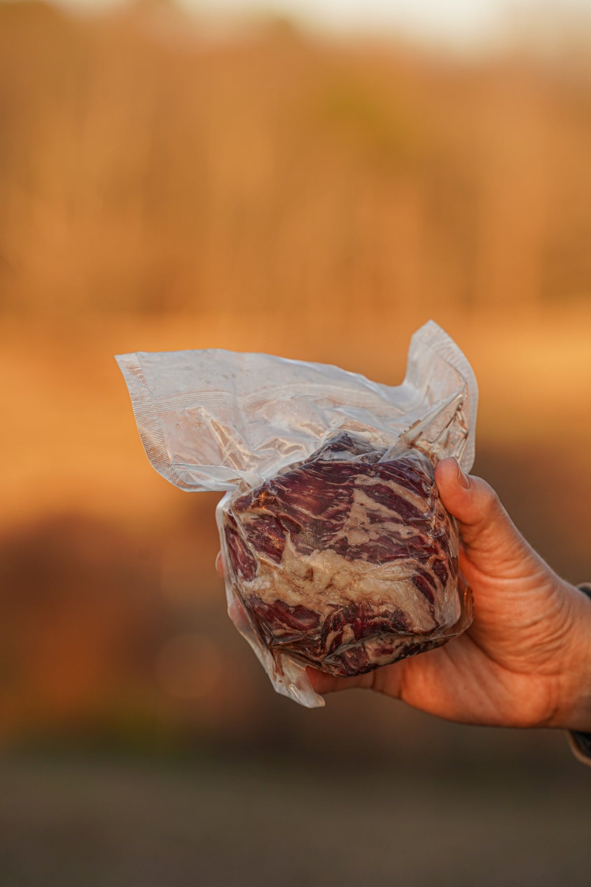 Skirt Roll (Wagyu × Angus)