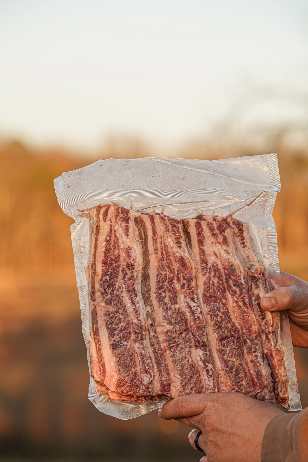 Korean-Style Ribs (Wagyu × Angus)