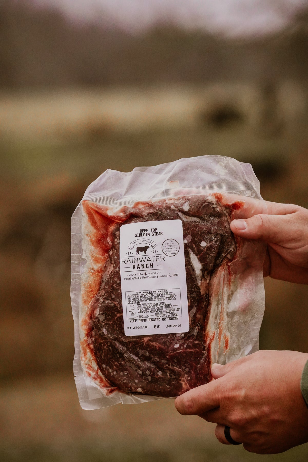 Sirloin Top Steak (Wagyu x Angus)