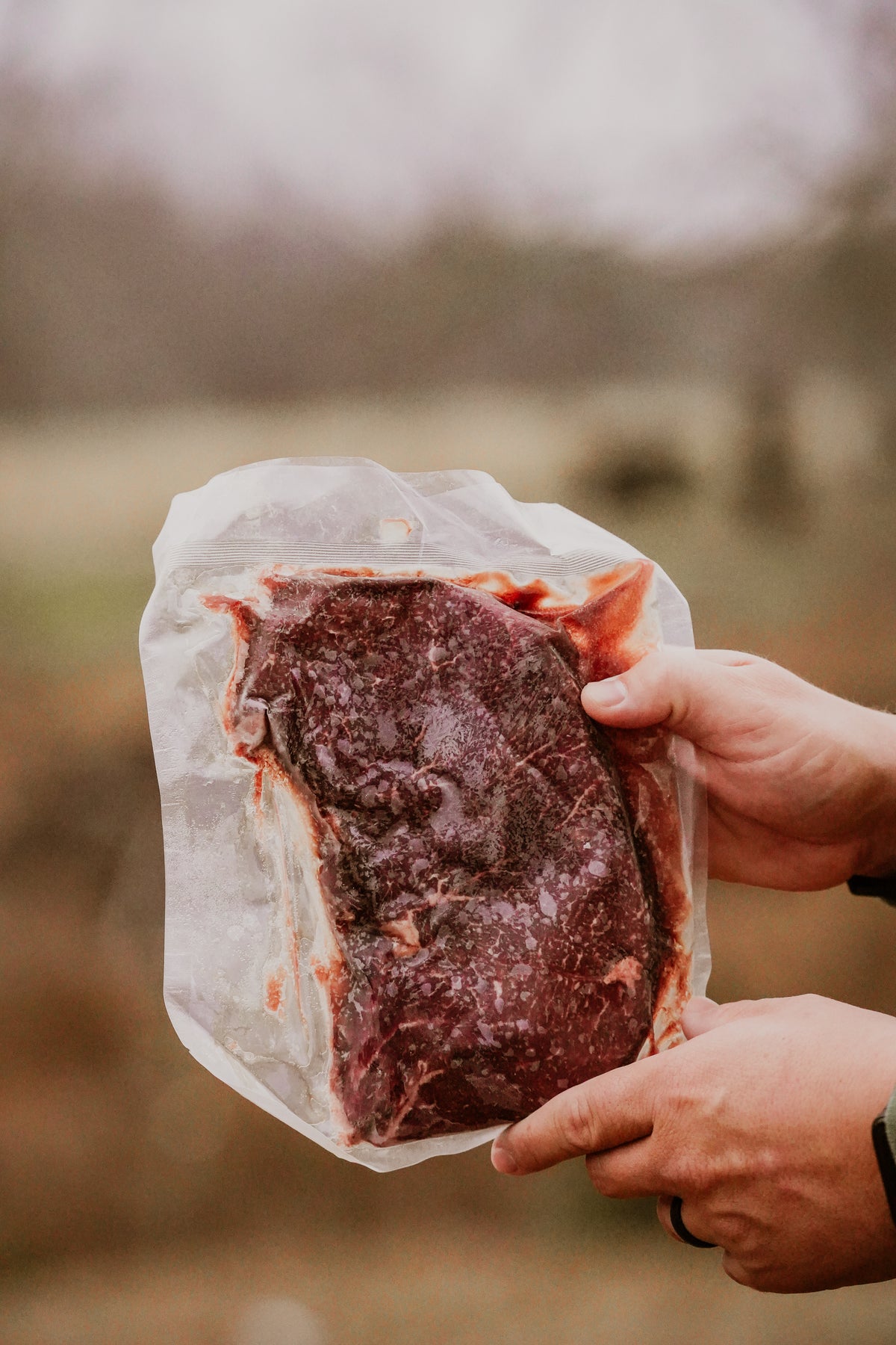 Sirloin Top Steak (Wagyu x Angus)
