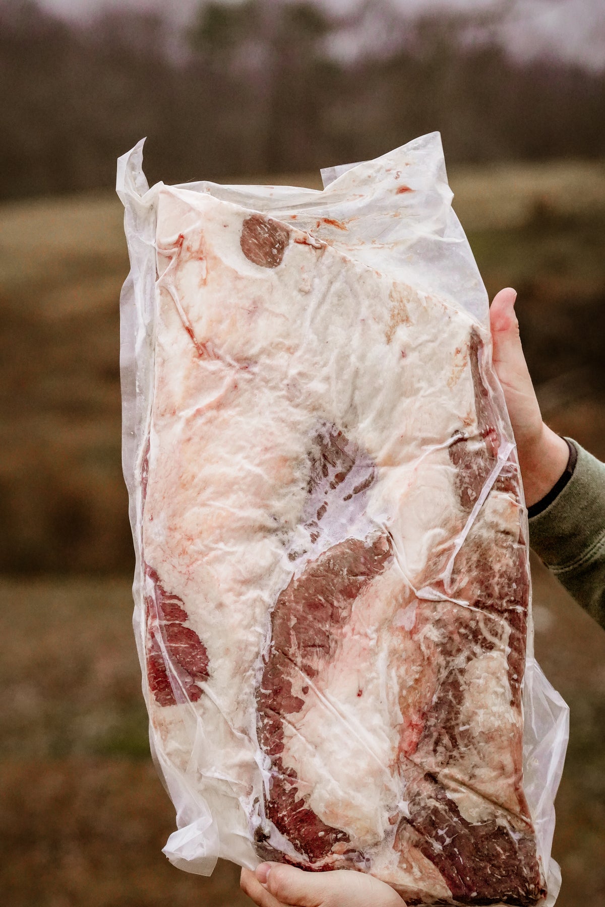 USDA PRIME Whole Brisket (Wagyu x Angus)